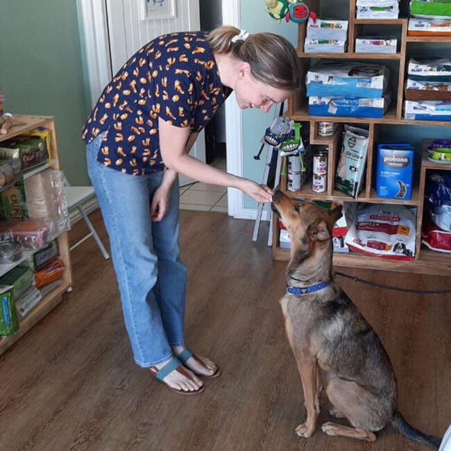 Village Vet Clinic Eastcliff