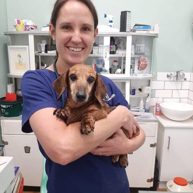 Village Vet Clinic Eastcliff