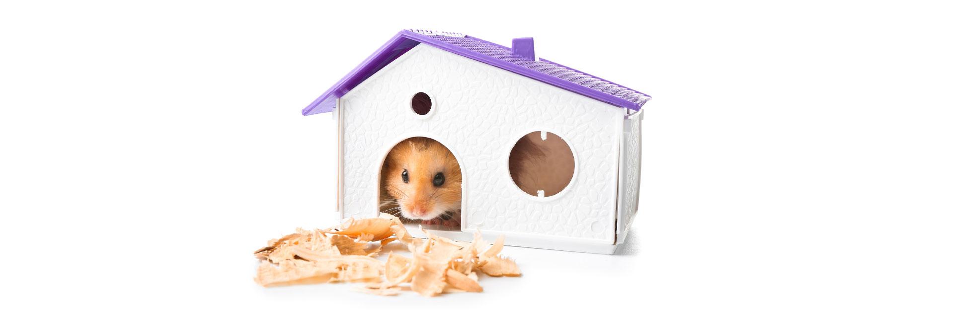 Village Vet Clinic Eastcliff